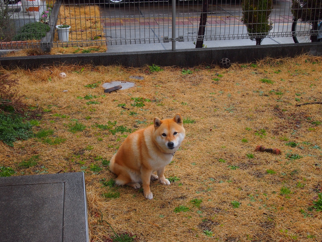 佩德里独舞,当安菲尔德成为他一个人的舞台